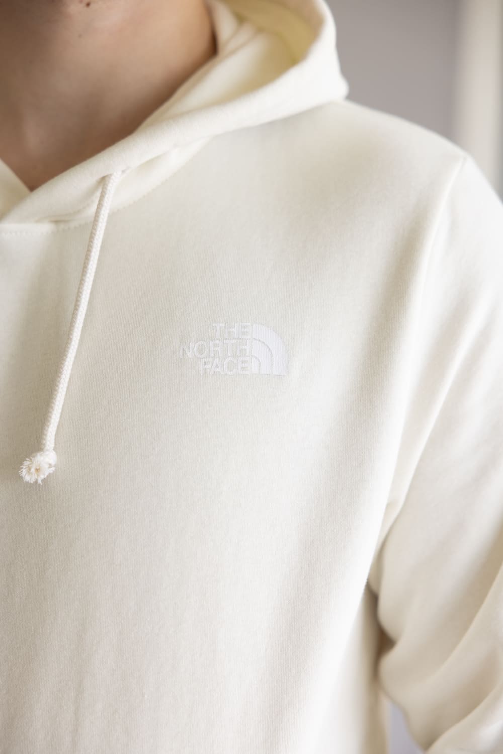 The North Face Evolution Box Logo Hoodie for Men in White Dune