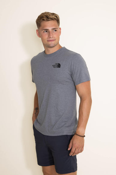 The North Face Bear T-Shirt for Men in Grey