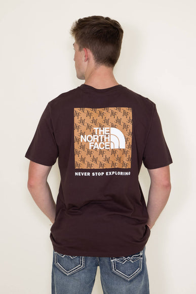 The North Face Box Logo T-Shirt for Men in Brown