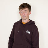 The North Face Box NSE Pullover Hoodie for Men in Brown