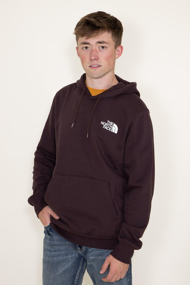 The North Face Box NSE Pullover Hoodie for Men in Brown
