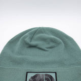 The North Face Dock Worker Recycled Beanie in Sage