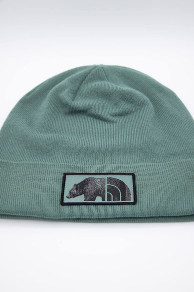 The North Face Dock Worker Recycled Beanie in Sage