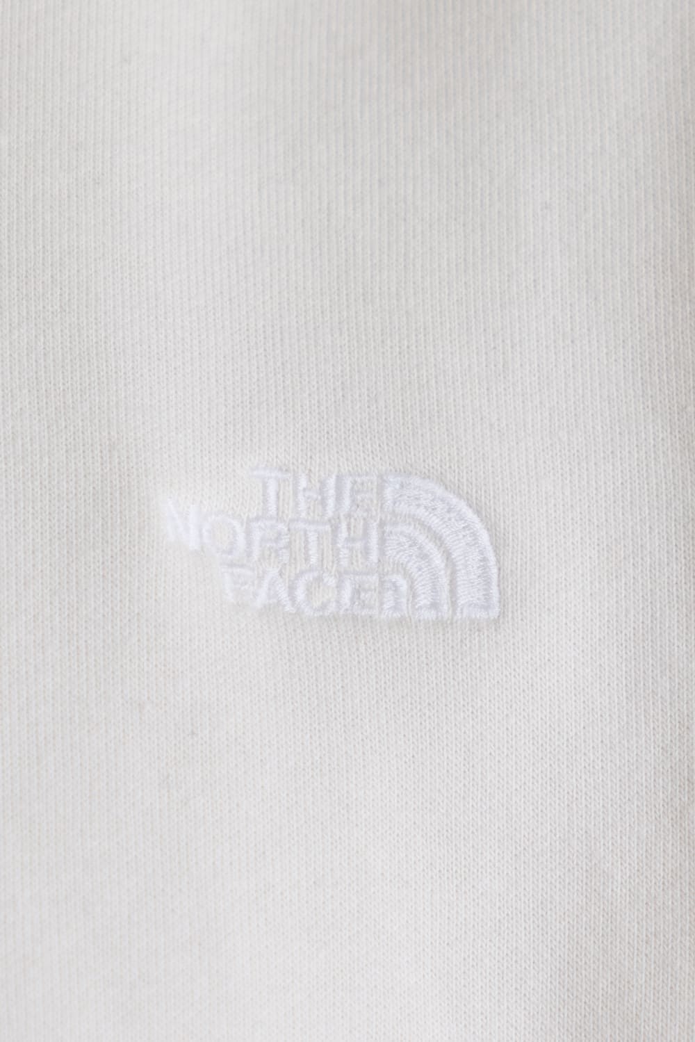 The North Face Evolution Embroidered Logo Hoodie for Men in Dune