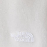 The North Face Evolution Embroidered Logo Hoodie for Men in Dune
