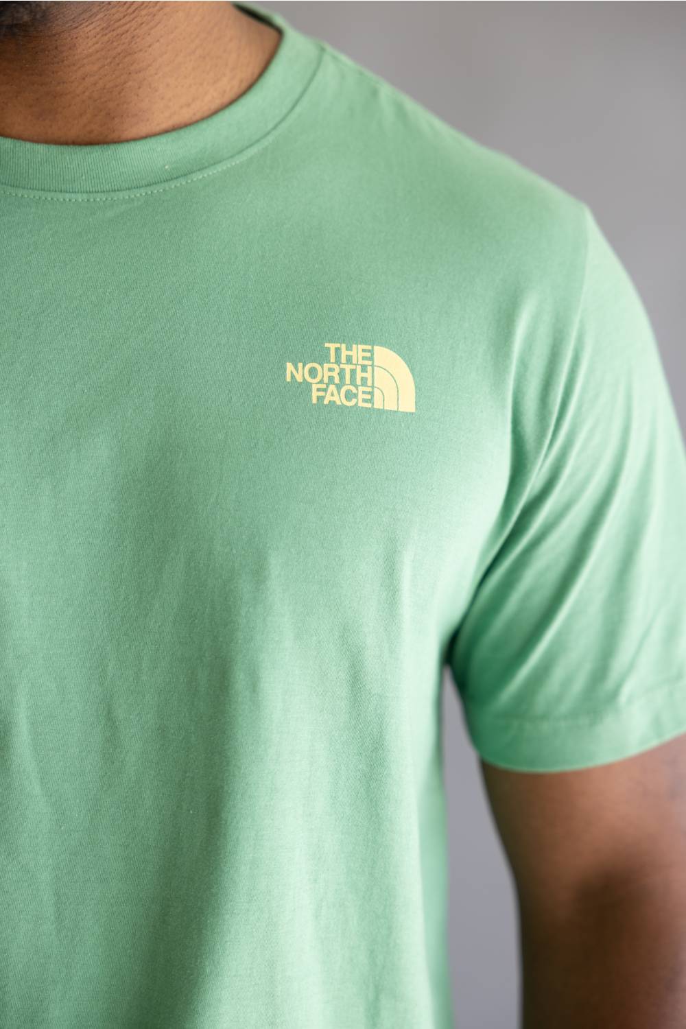 The North Face Explore Postcard T-Shirt for Men in Green