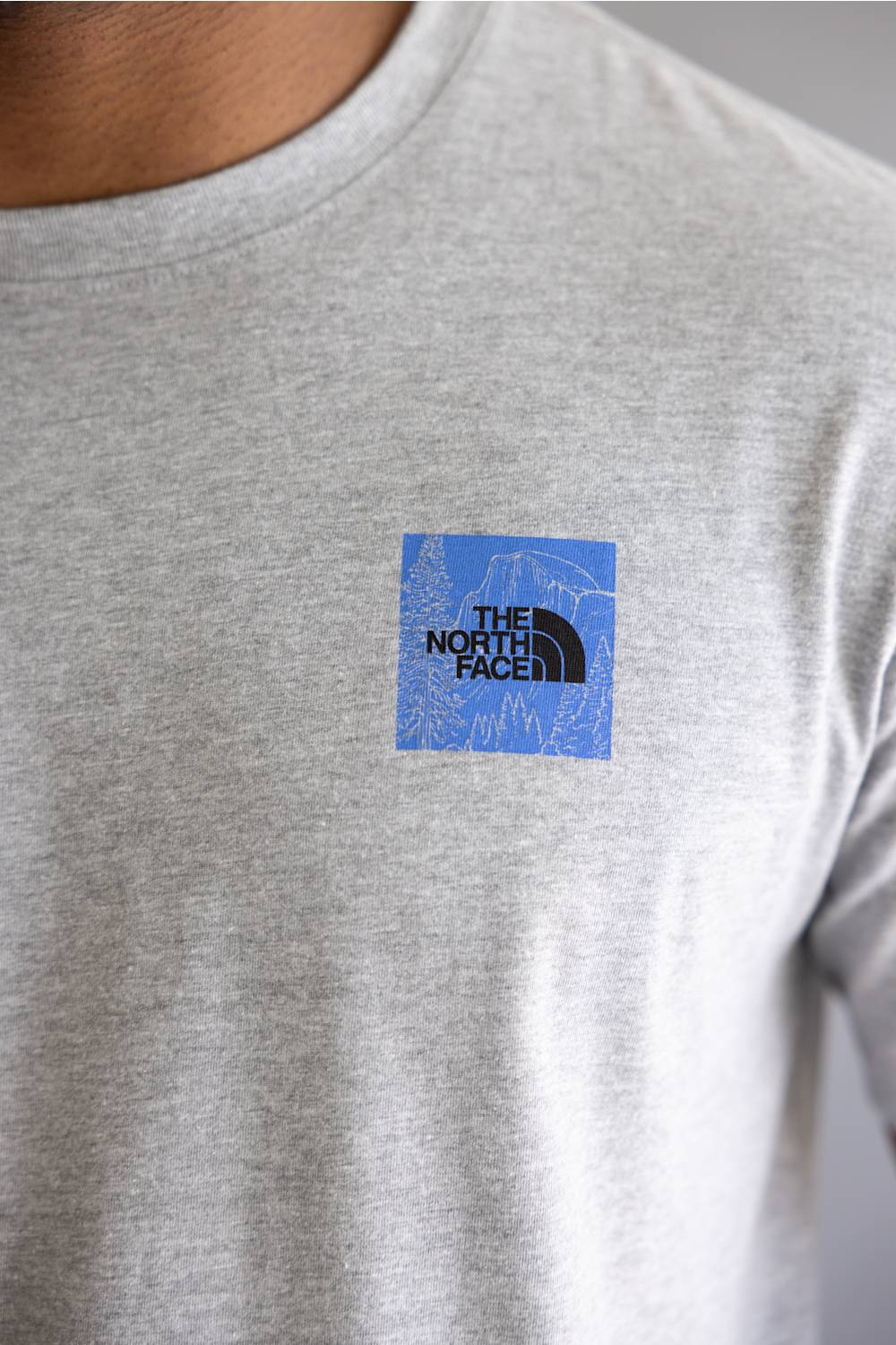 The North Face Monte T-Shirt for Men in Grey