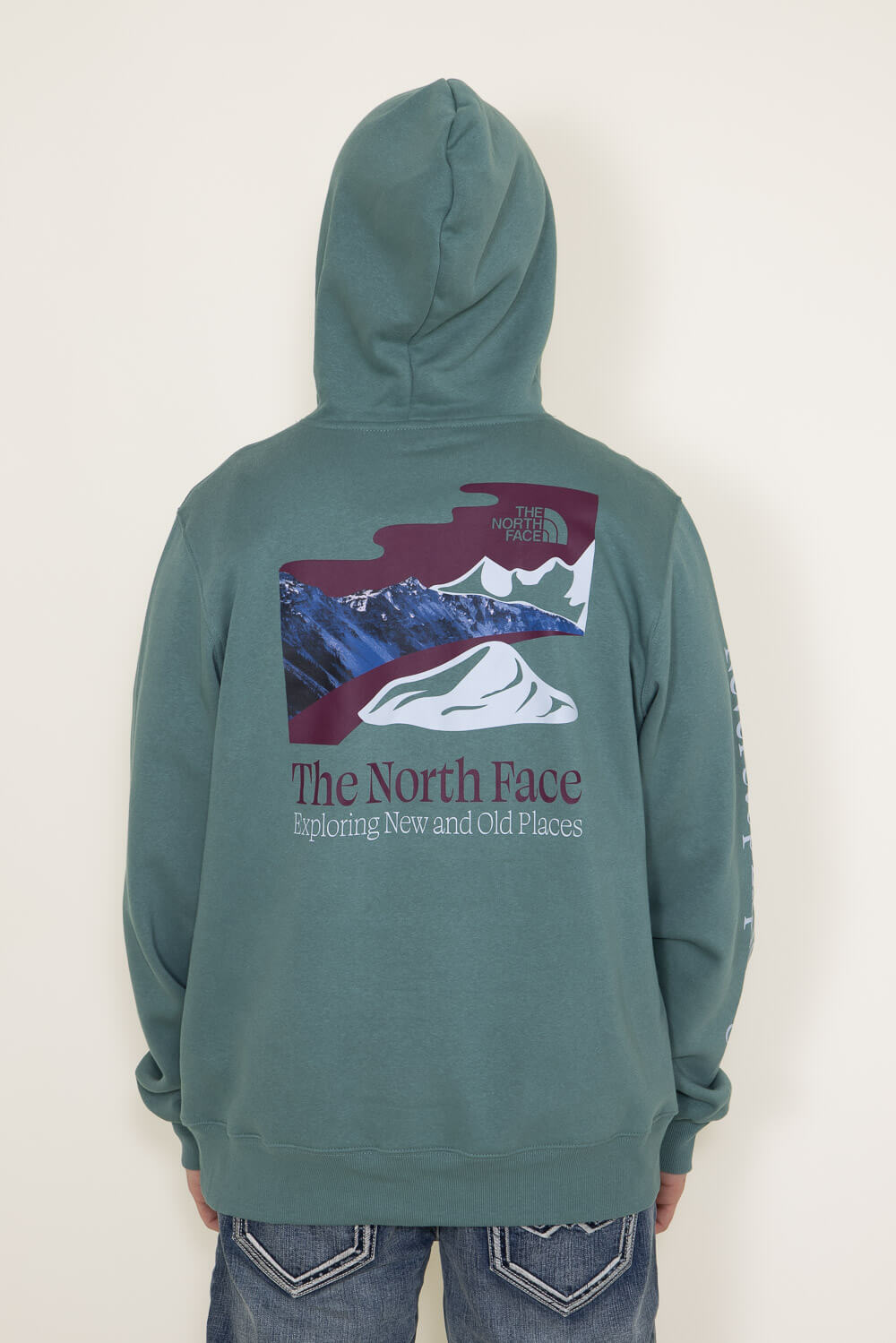 north face places we love hoodie