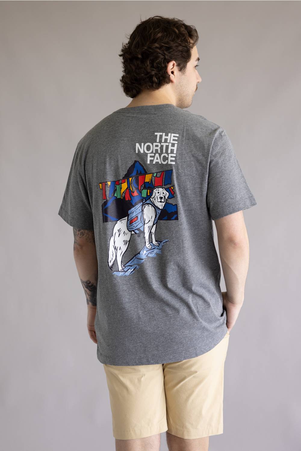 The North Face Sunlit Summit Tee for Men in Gray