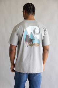 Carhartt Irvine Relaxed Dog T-Shirt for Men in Ash