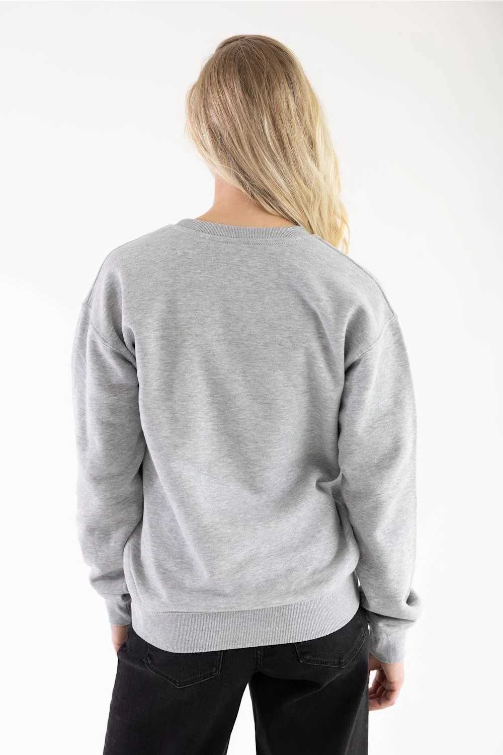 apres ski grey sweatshirt 