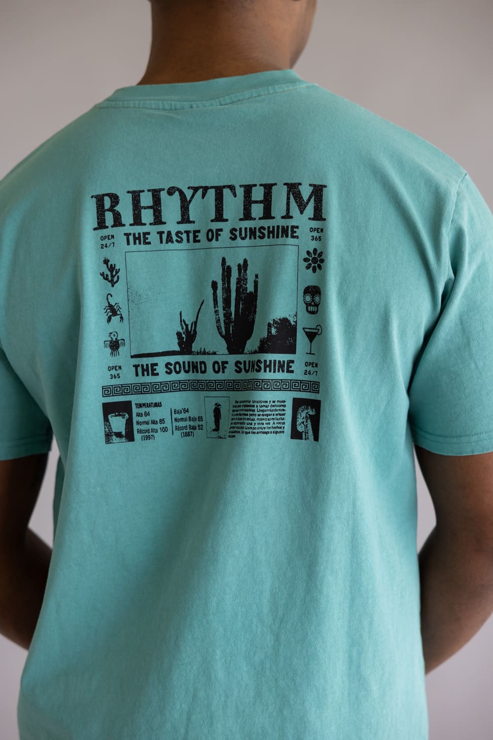 Rhythm Cactus Vintage T-Shirt for Men in Wasabi