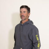 Carhartt Logo Sleeve Graphic Hoodie for Men in Grey