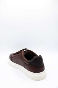 Steve Madden Philip Lace Up Sneakers for Men in Brown