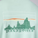 Patagonia Men’s Capeliene Cool Daily Graphic T-Shirt for Men in Green