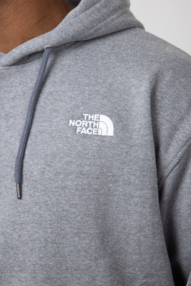 The North Face Evolution Vintage Hoodie for Men in Grey