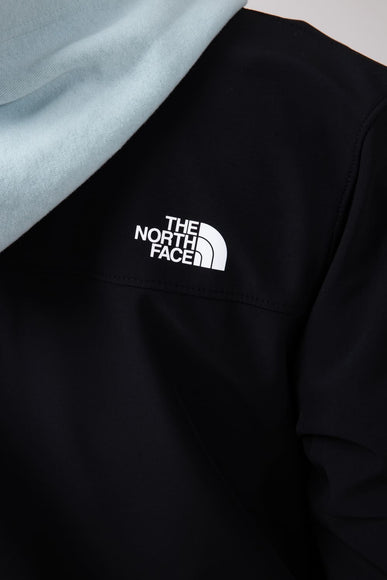 The North Face Apex Bionic 3 Jacket for Men in Black