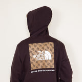 The North Face Box NSE Pullover Hoodie for Men in Brown