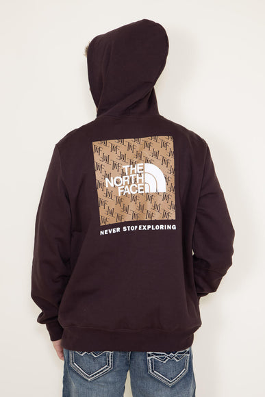 The North Face Box NSE Pullover Hoodie for Men in Brown