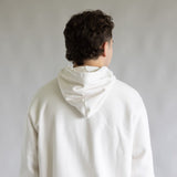 The North Face Evolution Embroidered Logo Hoodie for Men in Dune