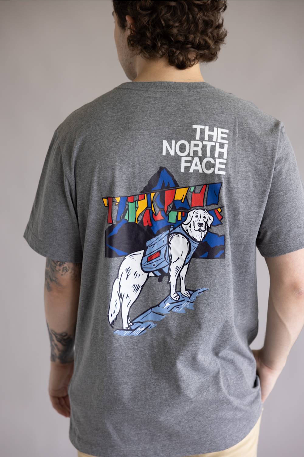 The North Face Sunlit Summit Tee for Men in Gray | NF0A8GS8-CQI