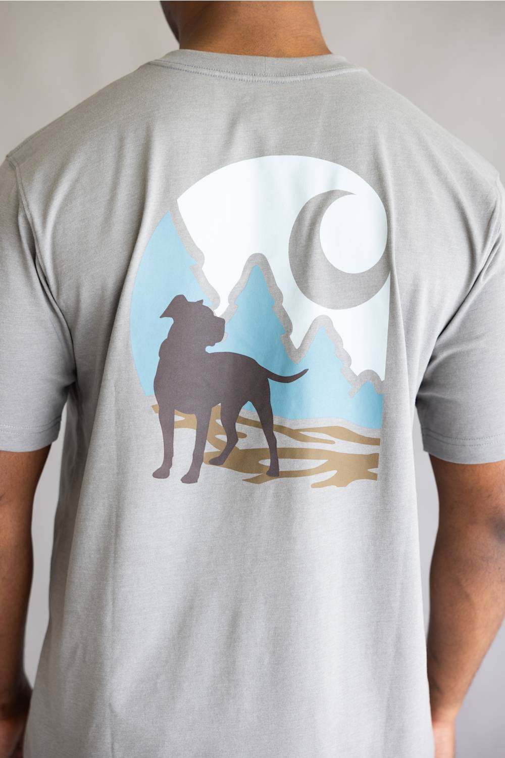Carhartt Irvine Relaxed Dog T-Shirt for Men in Ash