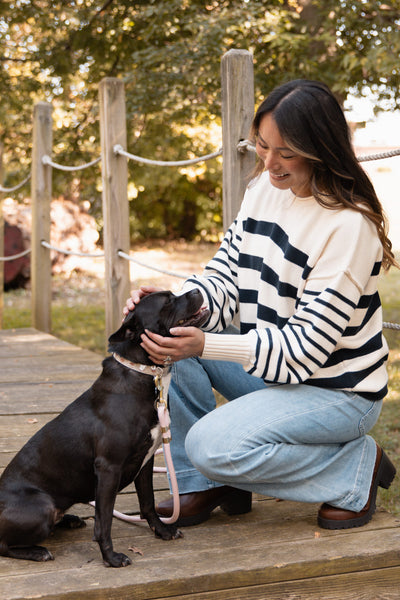Navy Striped Sweater for Women in Ivory | SWT70133-OFFWHITENAVY