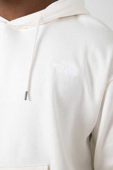 The North Face Evolution Vintage Hoodie for Men in White Dune | NF0A84GE-QLI-WHT