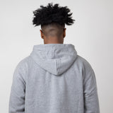 The North Face Evolution Vintage Hoodie for Men in Grey