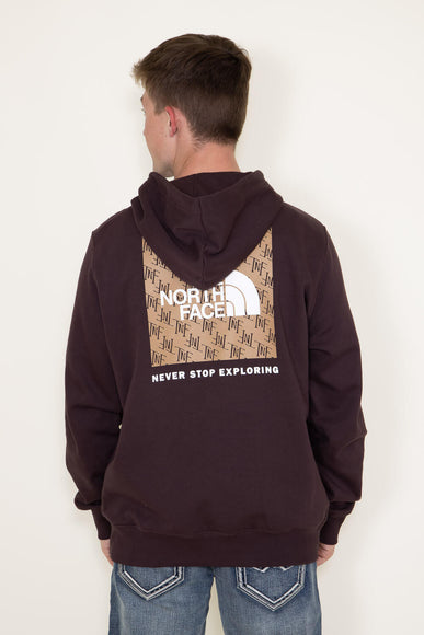 The North Face Box NSE Pullover Hoodie for Men in Brown