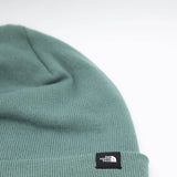The North Face Dock Worker Recycled Beanie in Sage