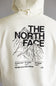 The North Face Evolution Half Dome Hoodie for Men in White Dune
