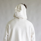 The North Face Evolution Embroidered Logo Hoodie for Men in Dune