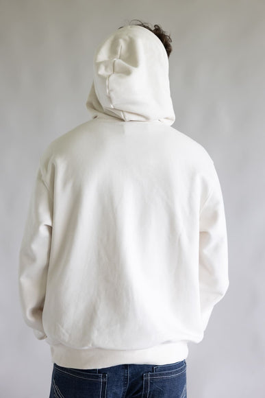 The North Face Evolution Embroidered Logo Hoodie for Men in Dune