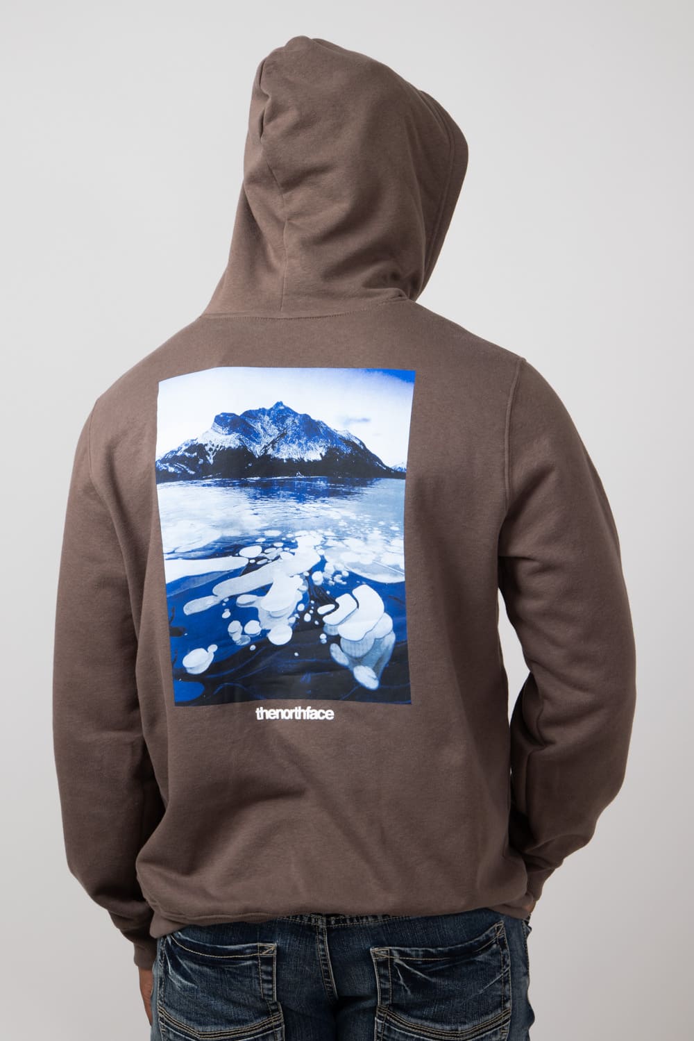 The North Face Suspended Hoodie for Men in Brown | NF0A8B03