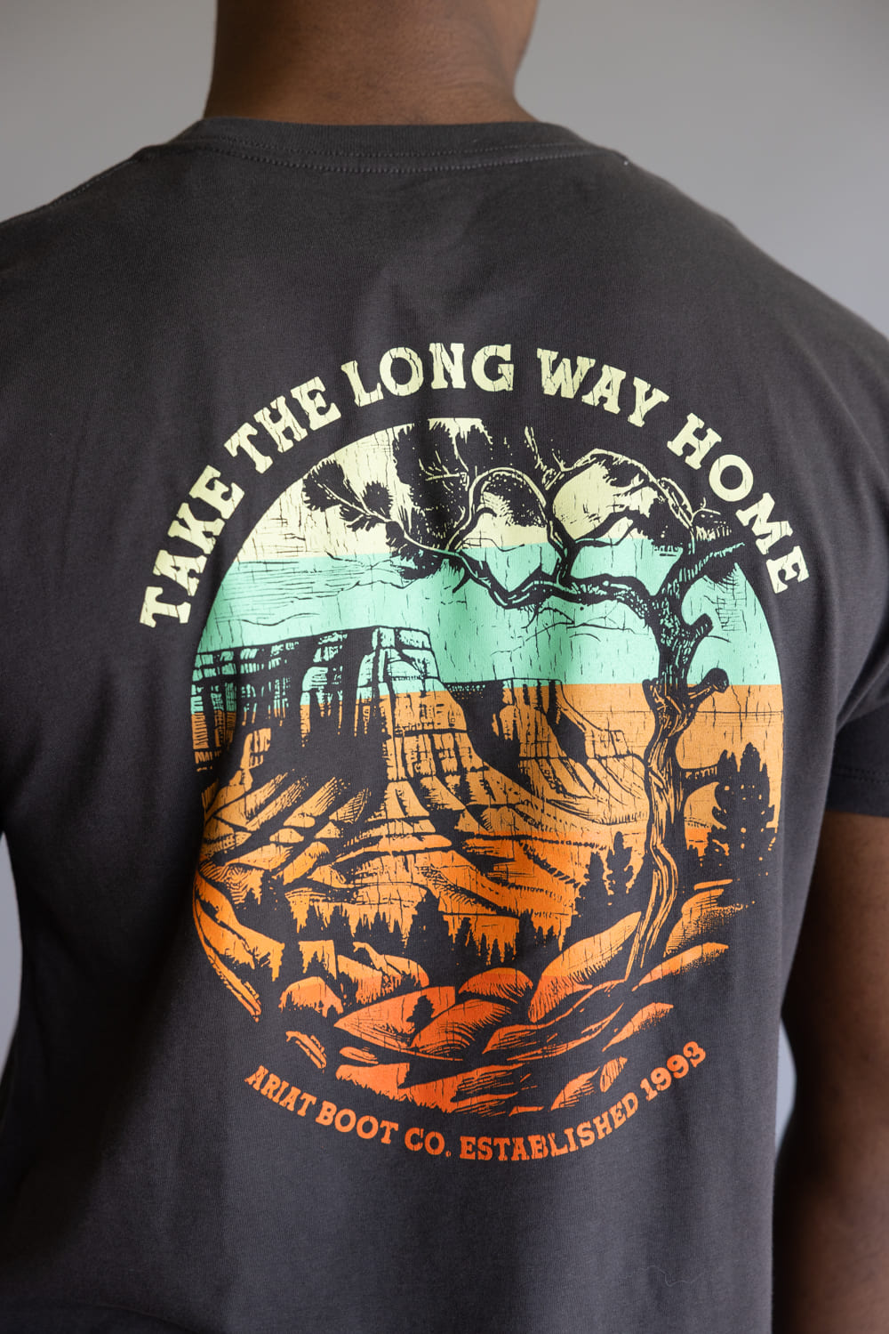 Ariat Take The Long Way Home T-Shirt for Men in Vintage Black