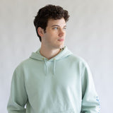 Carhartt Logo Sleeve Hoodie for Men in Seabrook