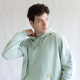 Carhartt Logo Sleeve Hoodie for Men in Seabrook