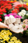 Beach by Matisse Lucy Block Heels for Women in Sand