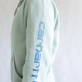 Carhartt Logo Sleeve Hoodie for Men in Seabrook