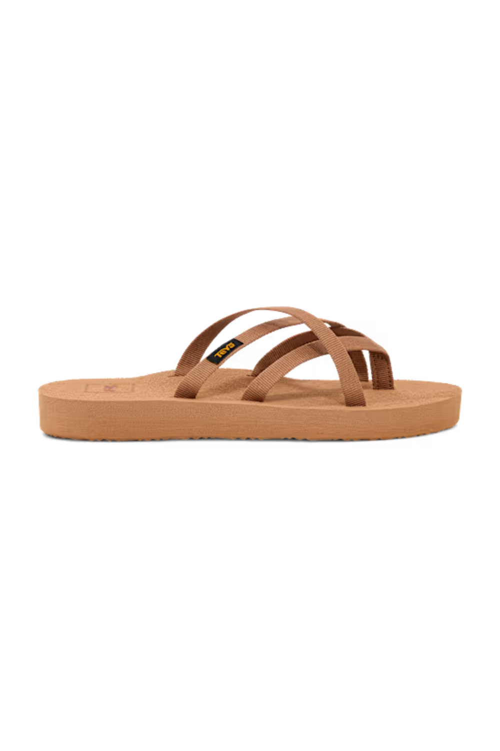 6840-TNZ