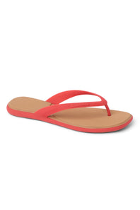 Reef Water Willow Sandal for Women in Hibiscus 