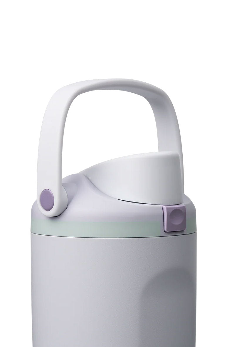 Owala FreeSip Sway 40 oz Stainless Steel Water Bottle in Open Air