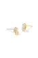 Gold earrings with a white background