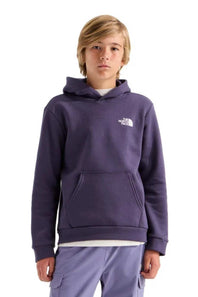 A young boy wearing a dark purple The North Face pullover hoodie with a white embroidered logo on the chest, paired with light purple cargo pants, shot against a solid white background.