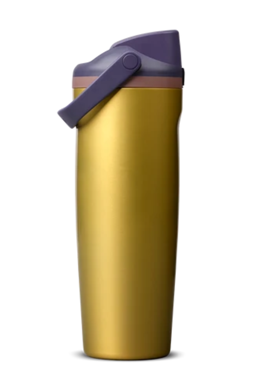 Owala FreeSip Sway 30 oz Stainless Steel Water Bottle in Bold Move