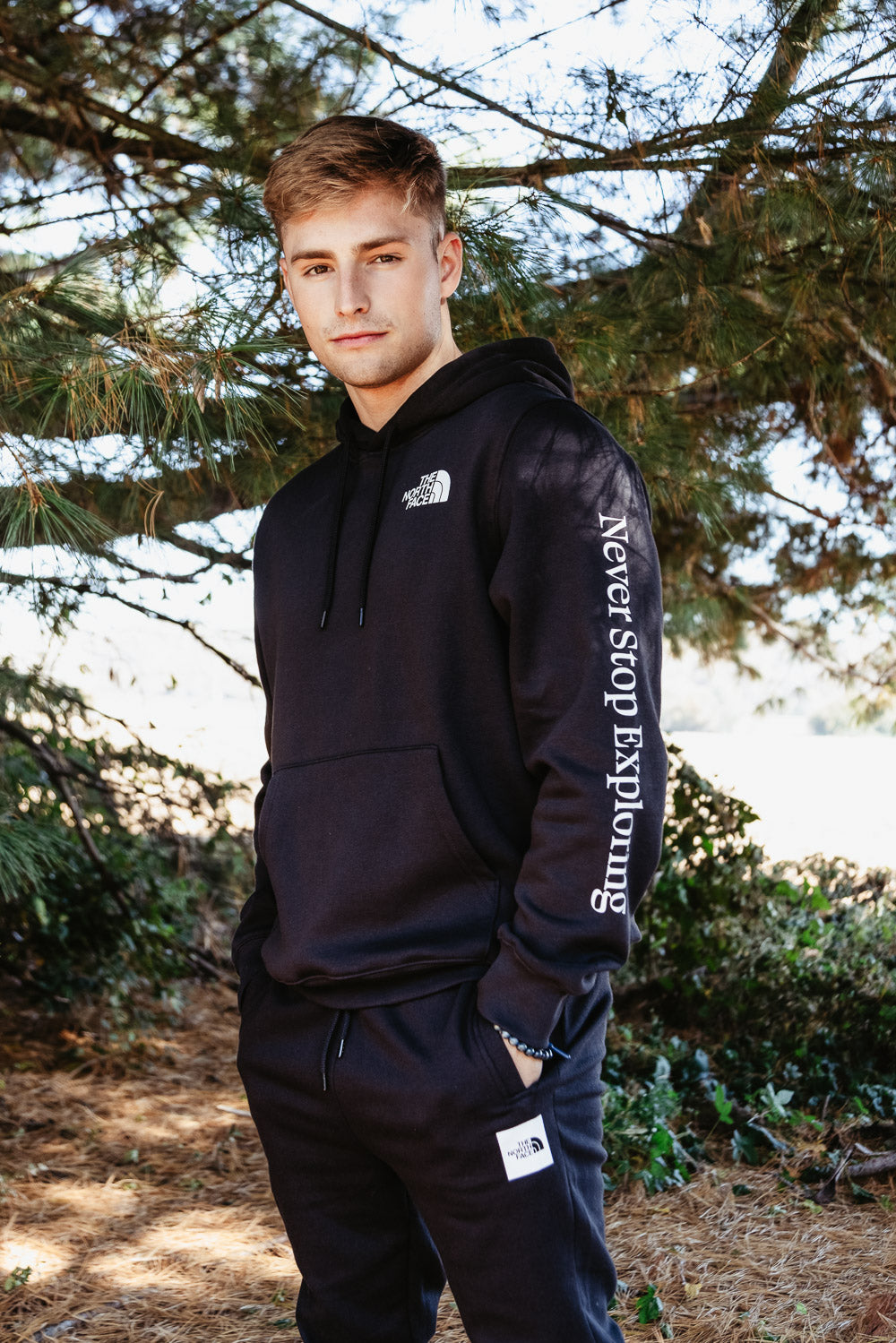 north face places we love hoodie