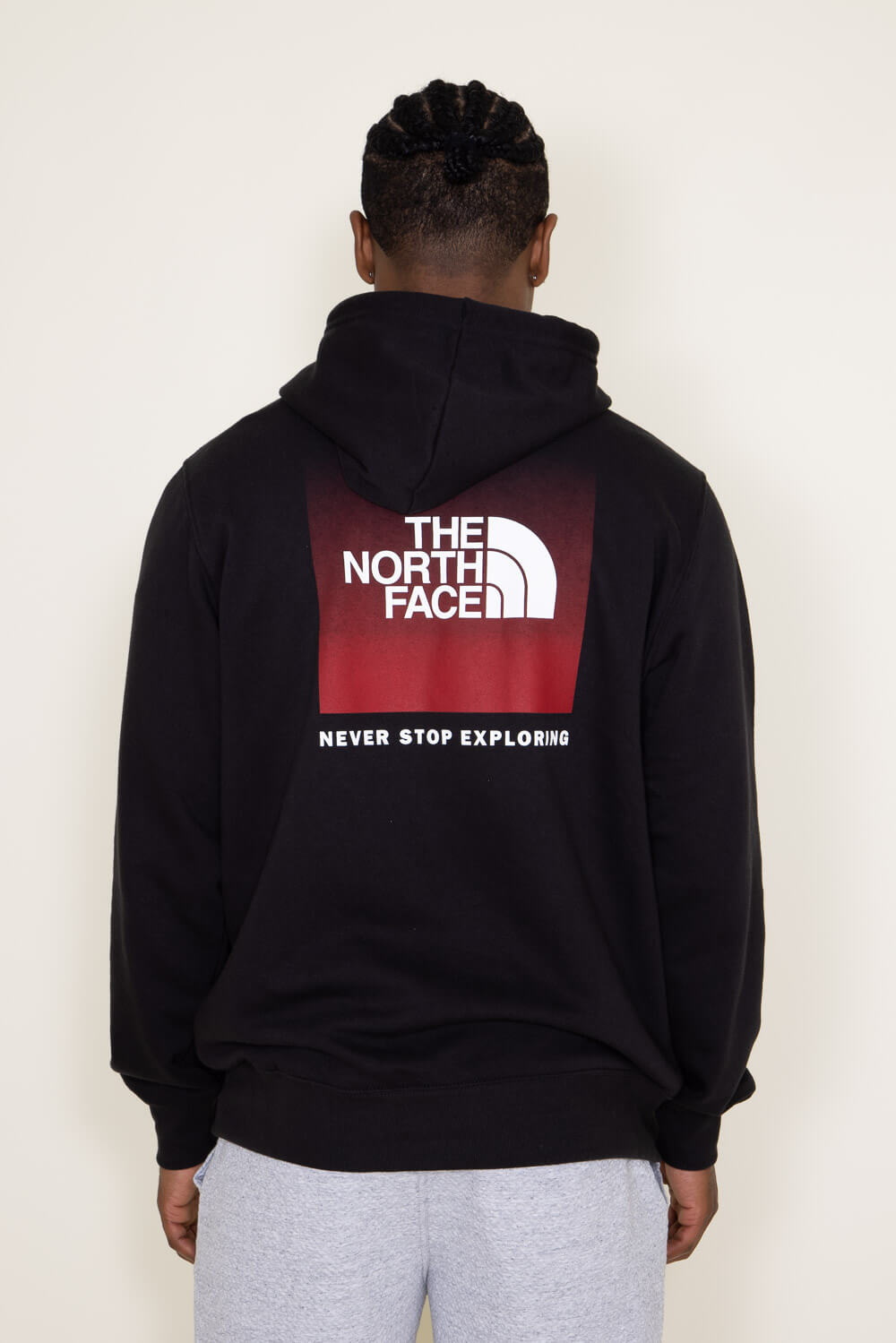 The North Face NSE Box Logo Hoodie in Black