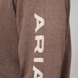 Ariat Logo Hoodie for Men in Chestnut 