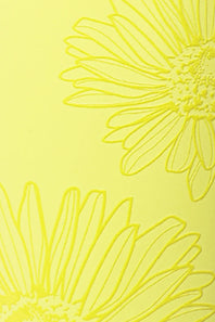 BruMate Era 40oz Tumbler in Citrus Daisy